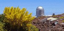 2.56m Nordic Optical Telescope, La Palma (E)